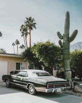 Vintage Car Desert Cactus